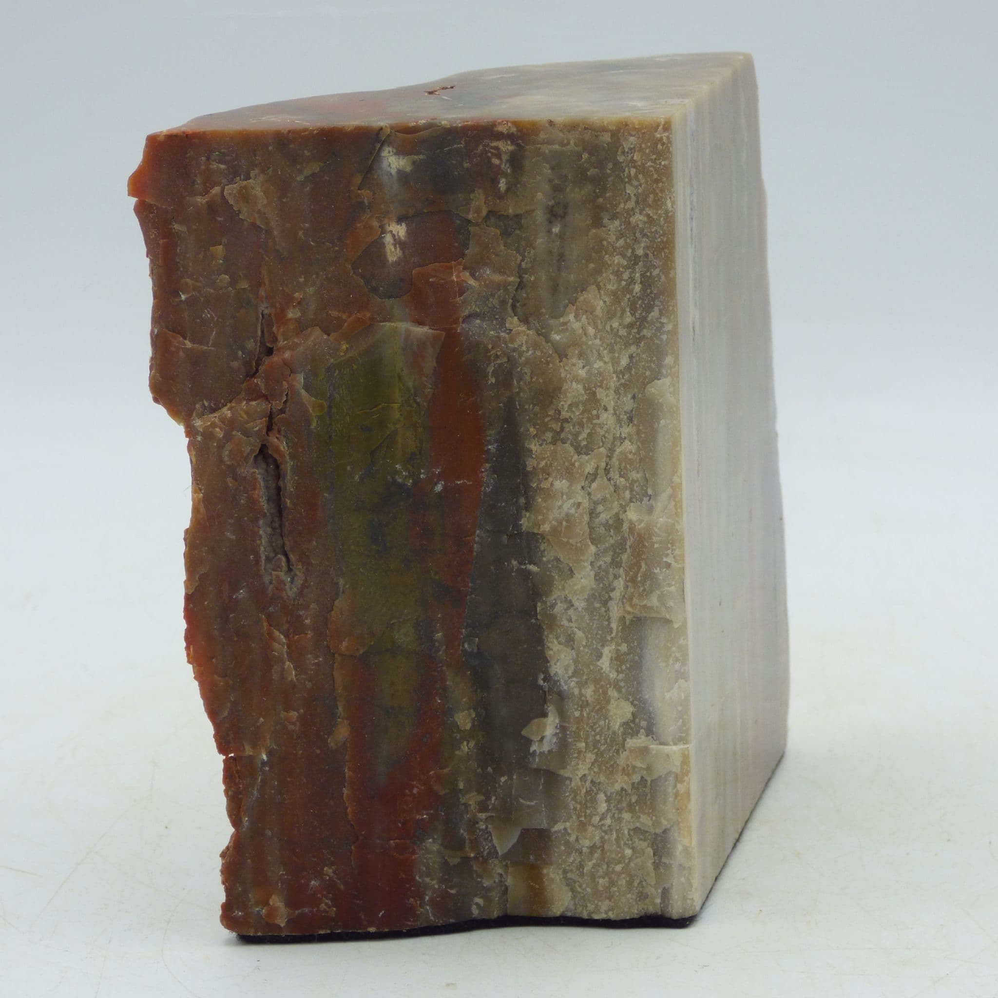 Fossil Wood Arizona USA Freestanding/Freeform Display Piece