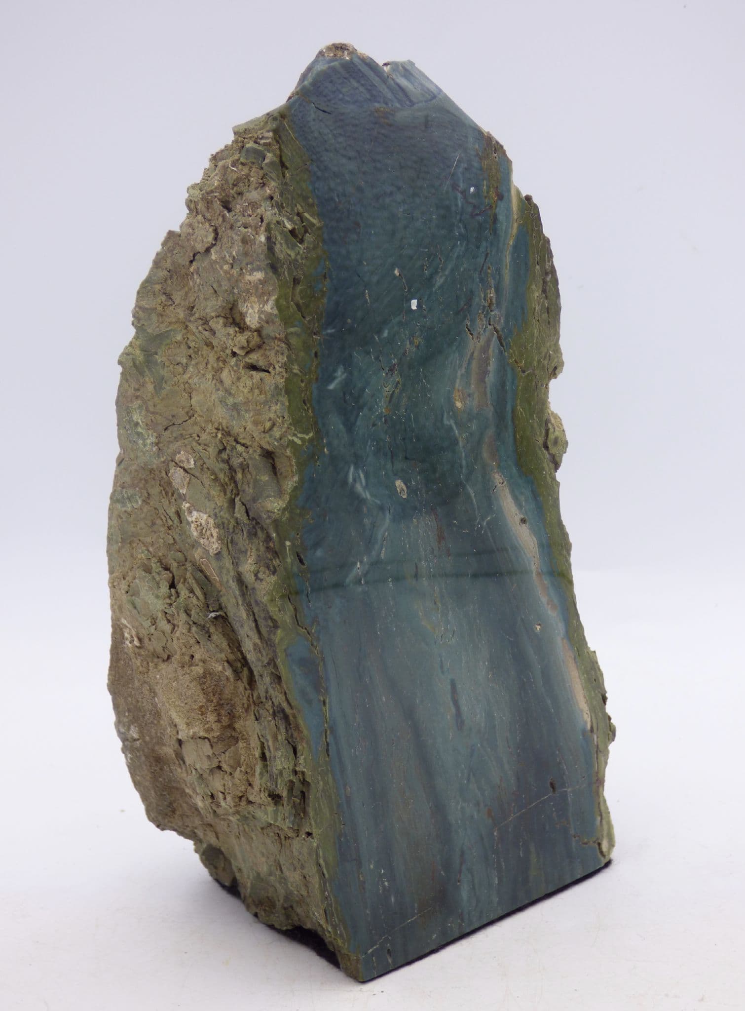 Freestanding 1.3 kg Green Fossil Petrified Wood from Oregon 439 gms 10 .7x 8.5 cm