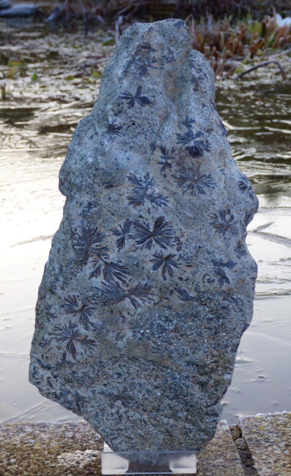 Holmquisite Rare Crystal Mineral Sparkling Silvery Star Pattern 35 cm 2.3 kg