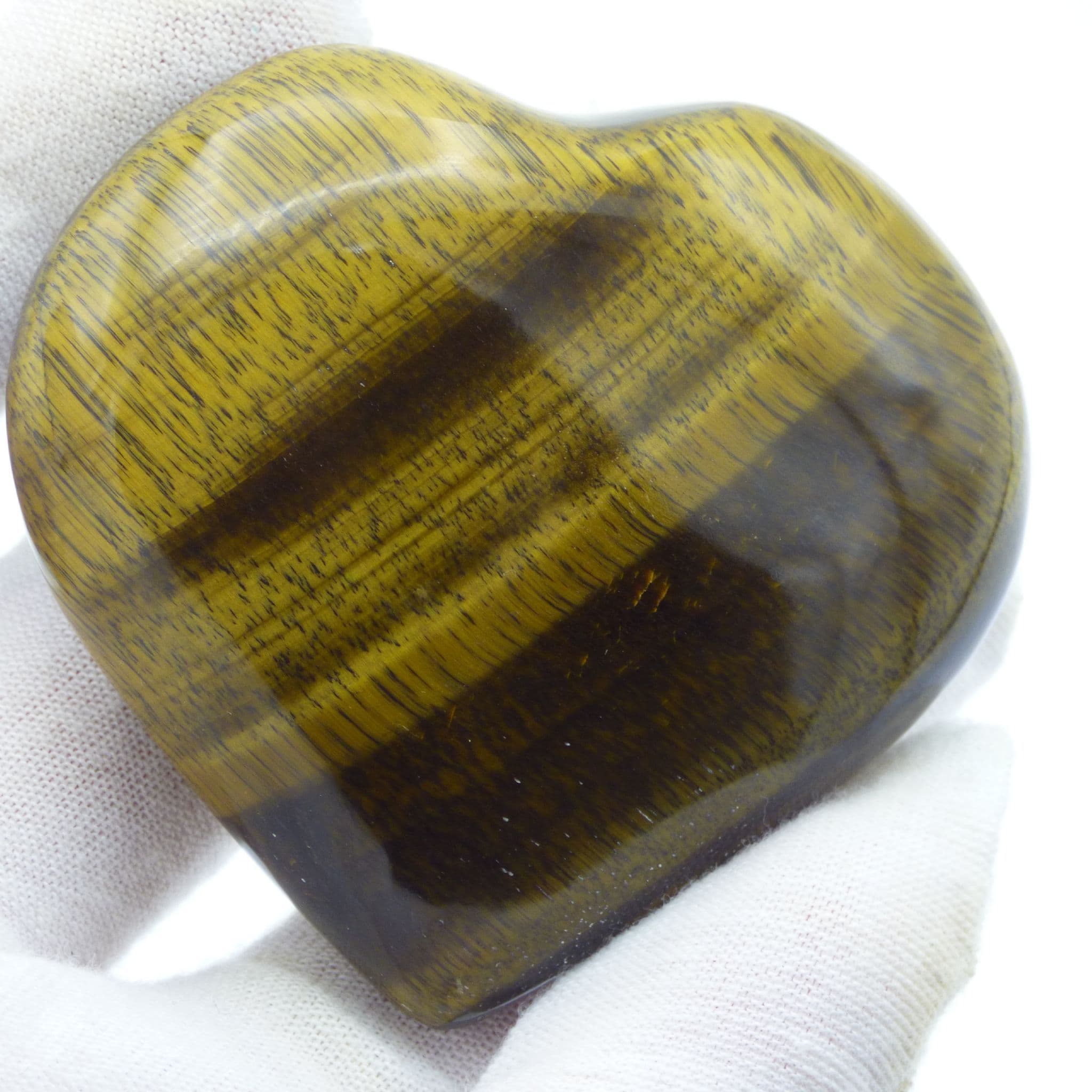Tigers eye
