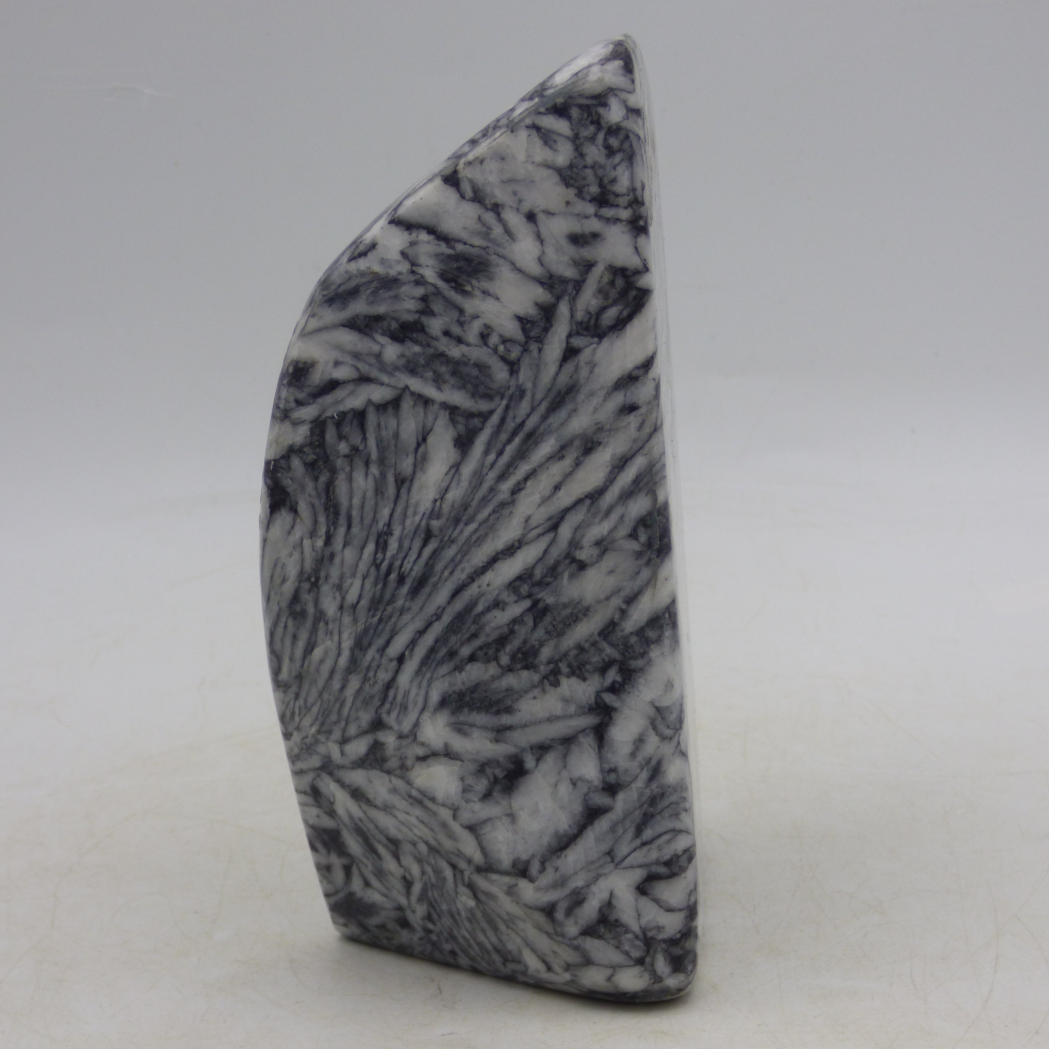Pinolite Black White Crystal Ornamental Freeform Marble Stone Austrian