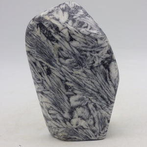 Pinolite Black White Crystal Ornamental Freeform Marble Stone Austrian