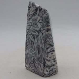 Pinolite Black White Crystal Ornamental Freeform Marble Stone Austrian