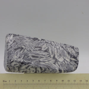 Pinolite Black White Crystal Ornamental Freeform Marble Stone Austrian