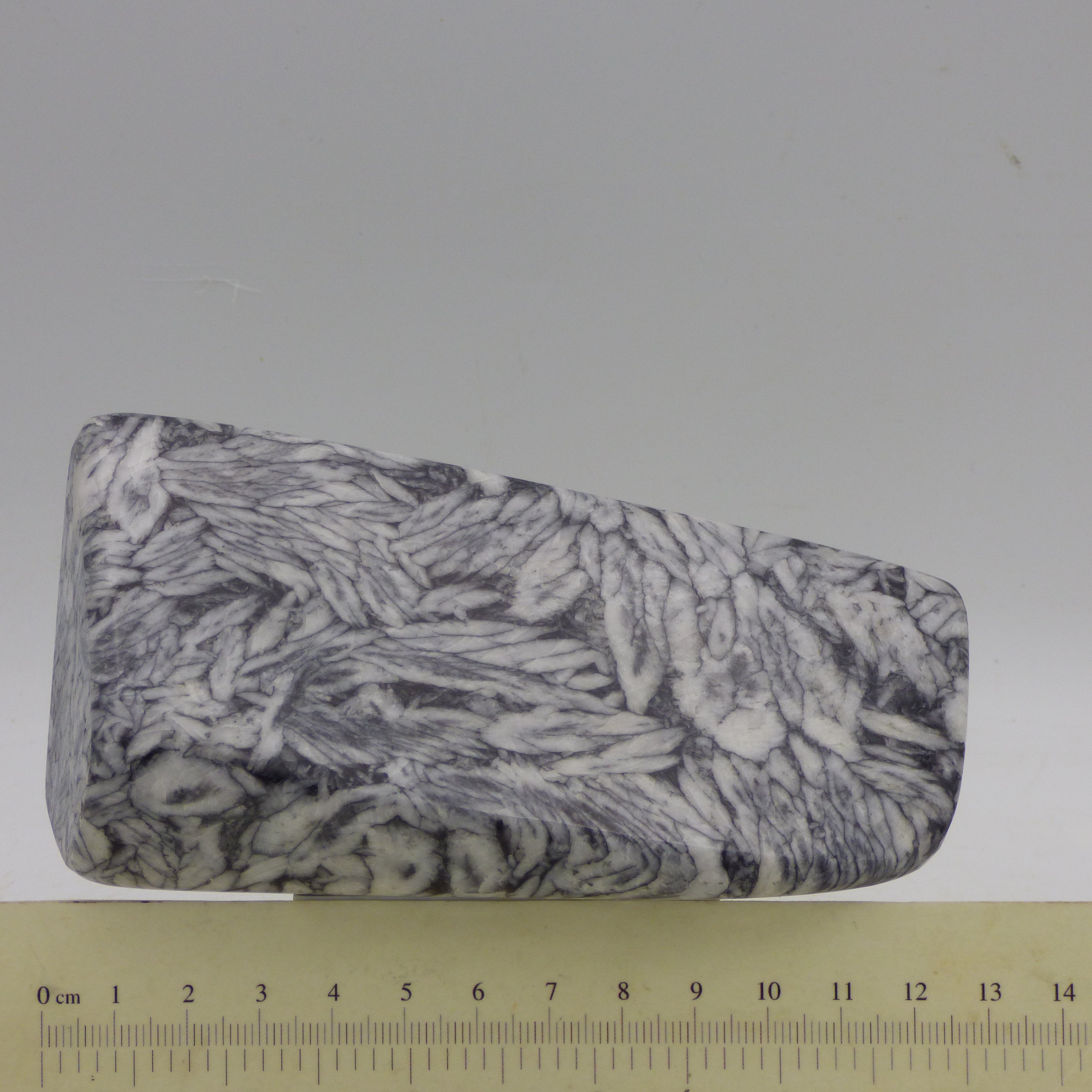 Pinolite Black White Crystal Ornamental Freeform Marble Stone Austrian