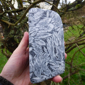 Pinolite Black White Crystal Ornamental Freeform Marble Stone Austrian