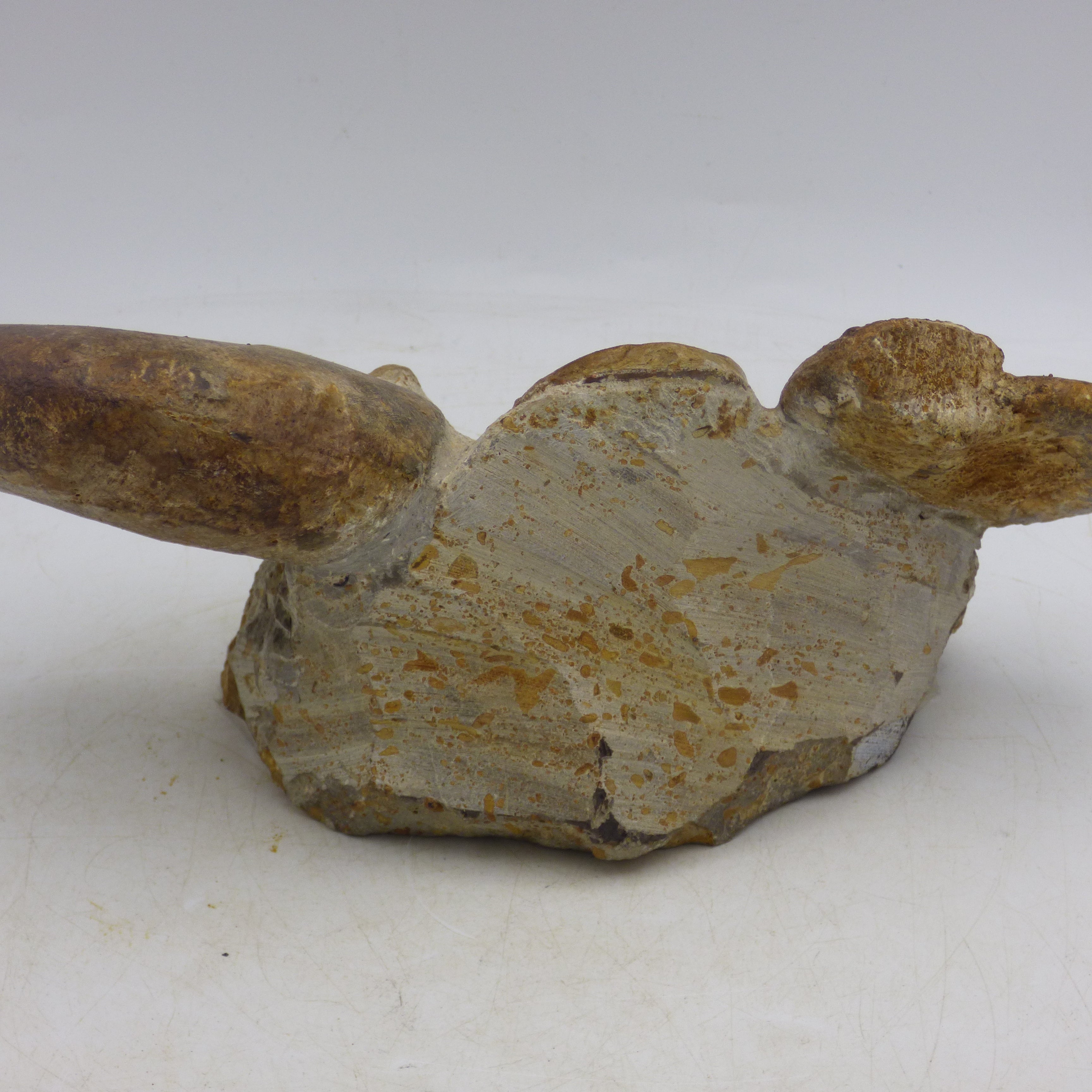 Jurassic Ammonite Fossils Morocco Group Display Piece 980 gm  19 x 11.5 cm
