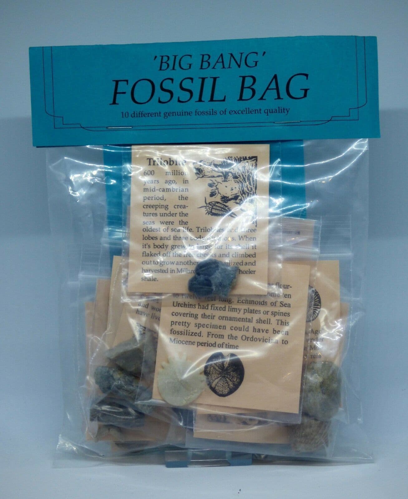 Big Bang Fossil Educational Gift Bag + Geological Time Chart+Magnifier+Dino Poem