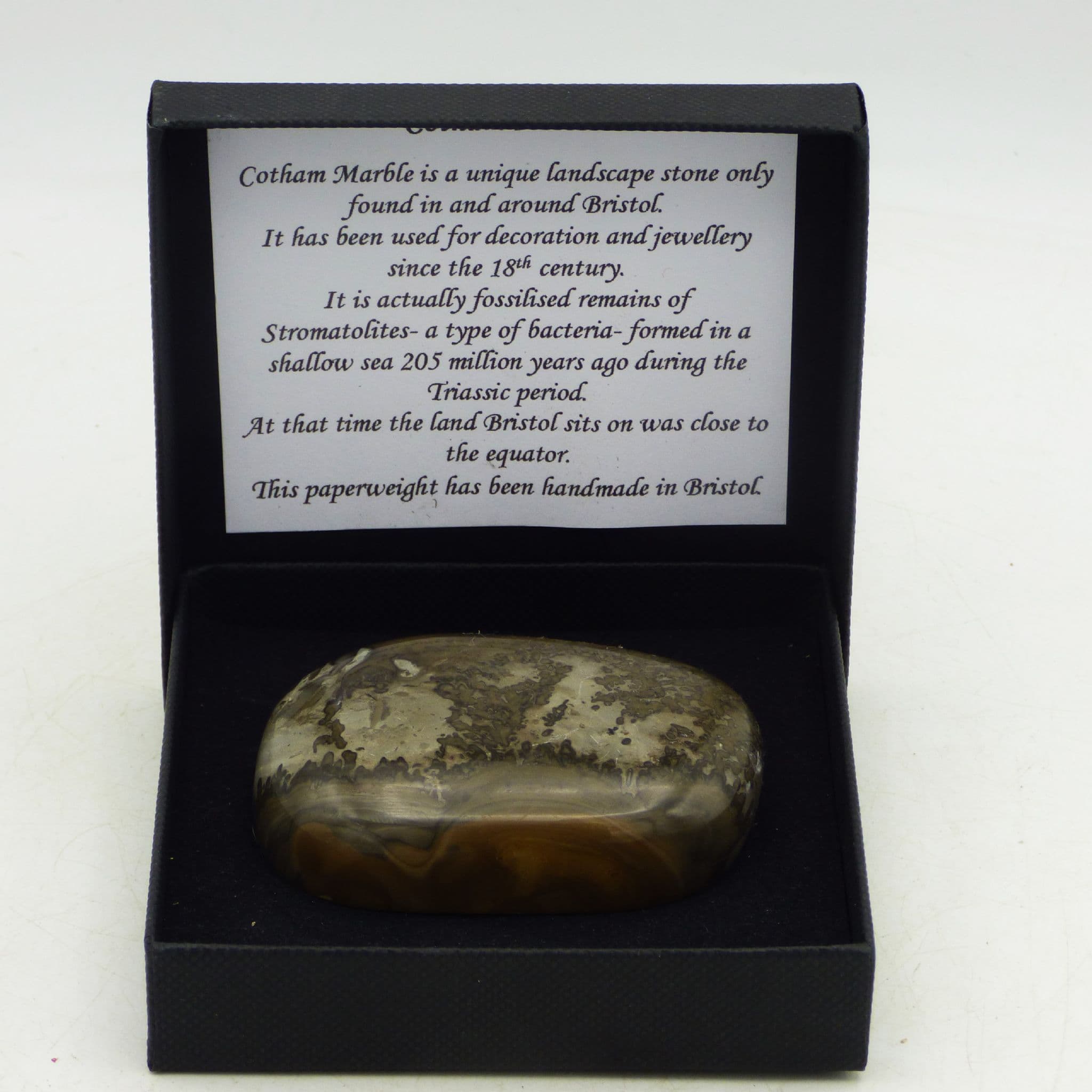 Cotham Marble Stromatolite  Paper Weight Gift Boxed with Acrylic Display Stand