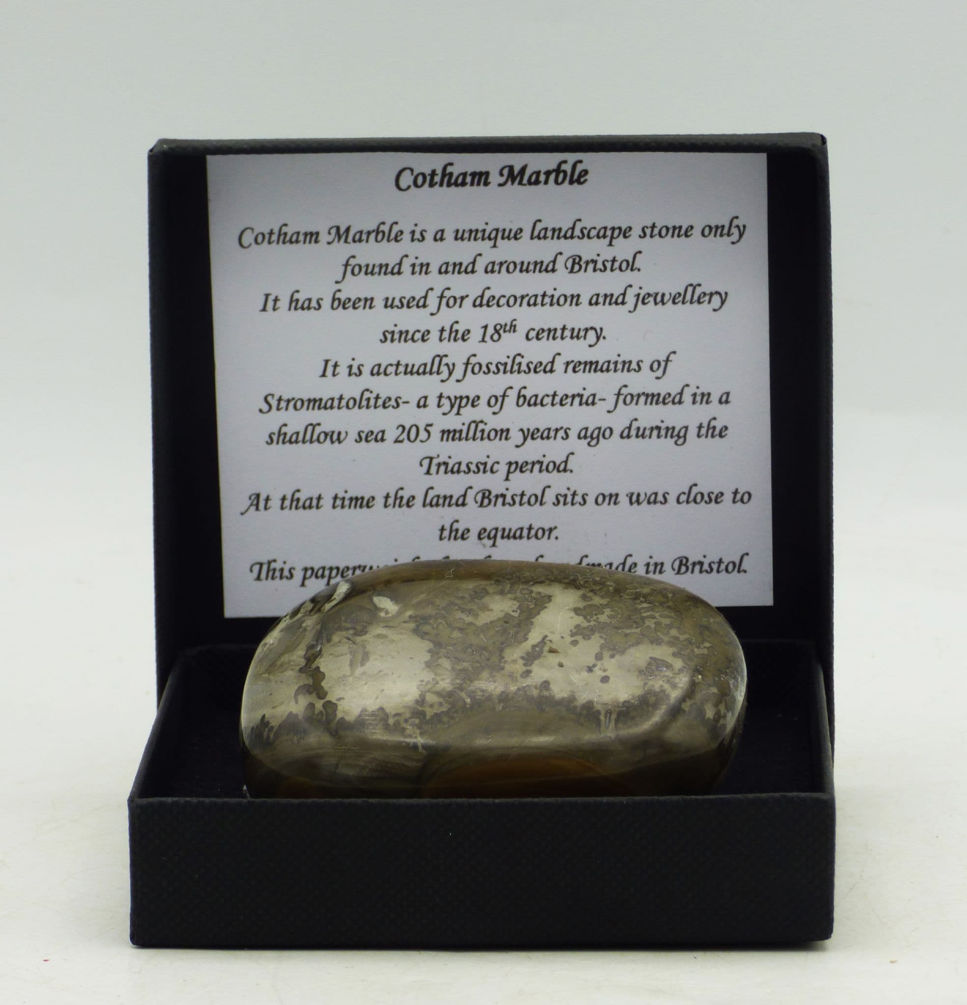 Cotham Marble Stromatolite  Paper Weight Gift Boxed with Acrylic Display Stand