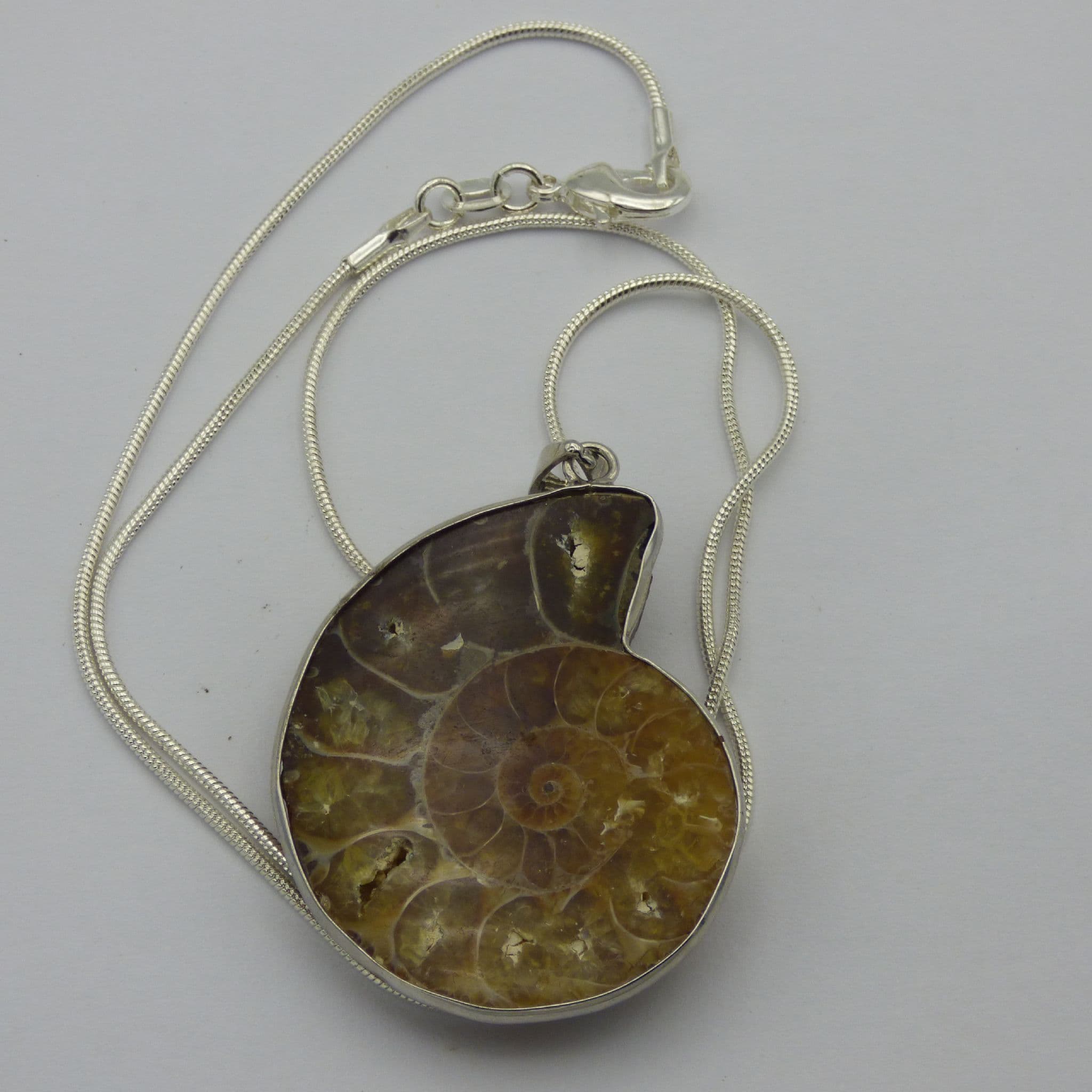 Fossil Cleoniceras Ammonite Half Pendant with Silver Plated Snake Chain + Gift Bag