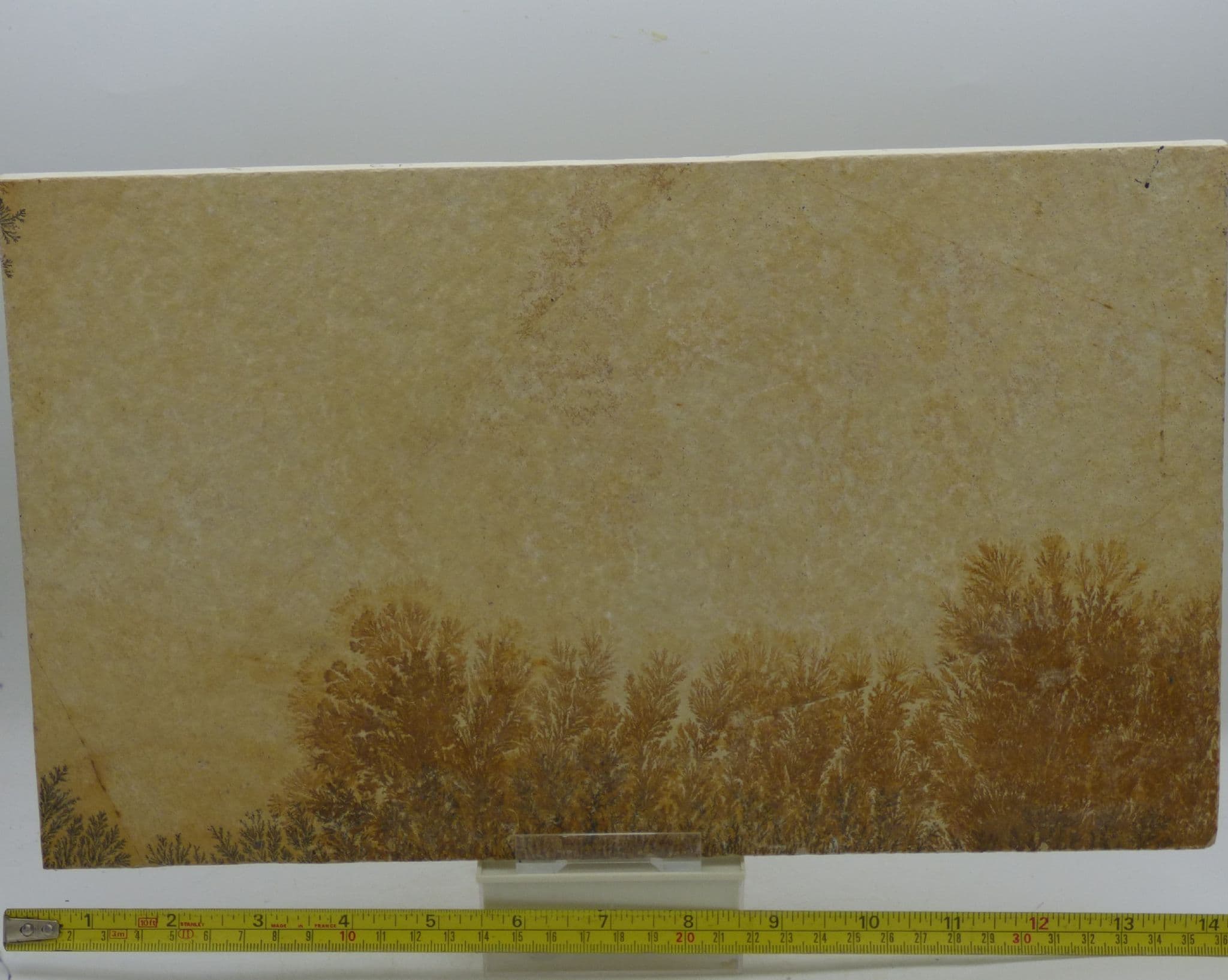 Large Double Sided Jurassic Landscape Picture Dendritic Sandstone Manganese  Solnhofen