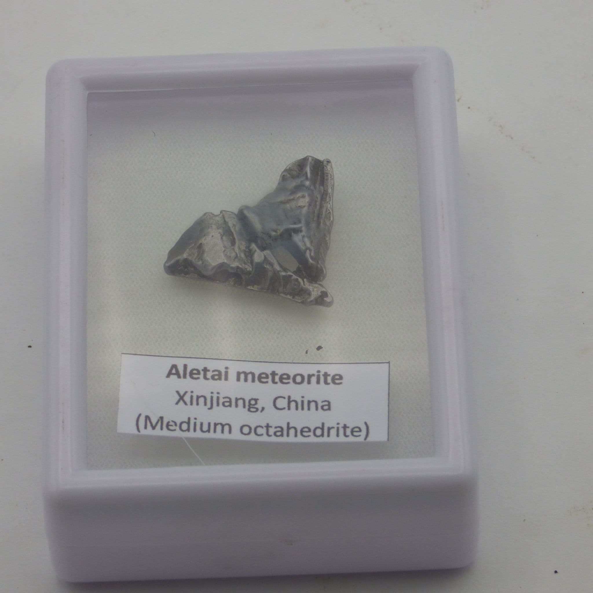 Meteorite  Aletai  Xinjang China in acrylic  collectors box