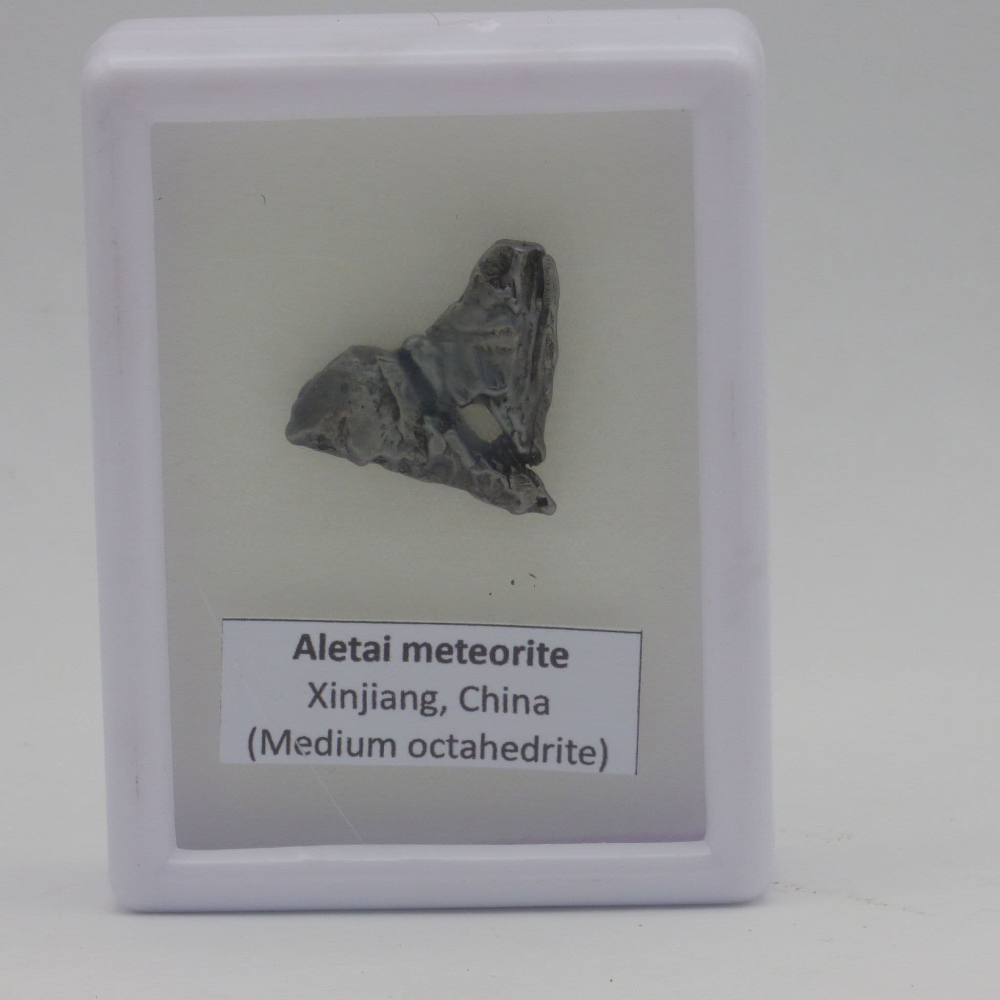 Meteorite  Aletai  Xinjang China in acrylic  collectors box