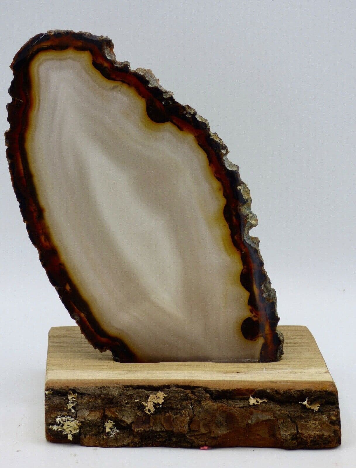 Natural Agate Slice  15 x 10 cm in Wood Base