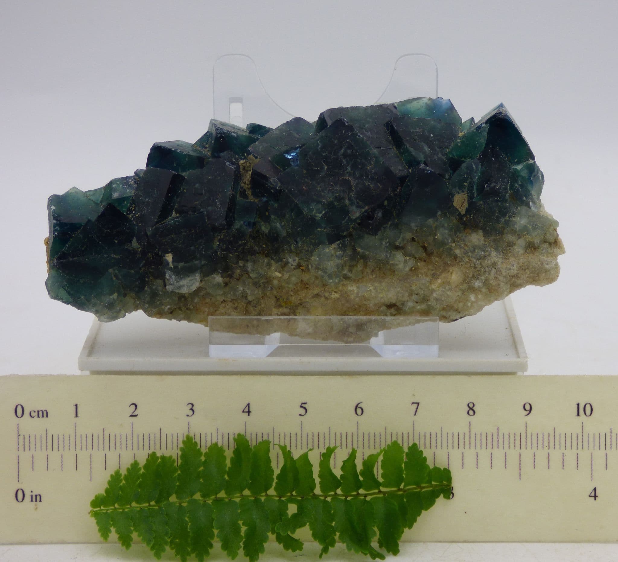 Natural Green Fluorite Crystal Cluster from Madagascar  with Display Stand