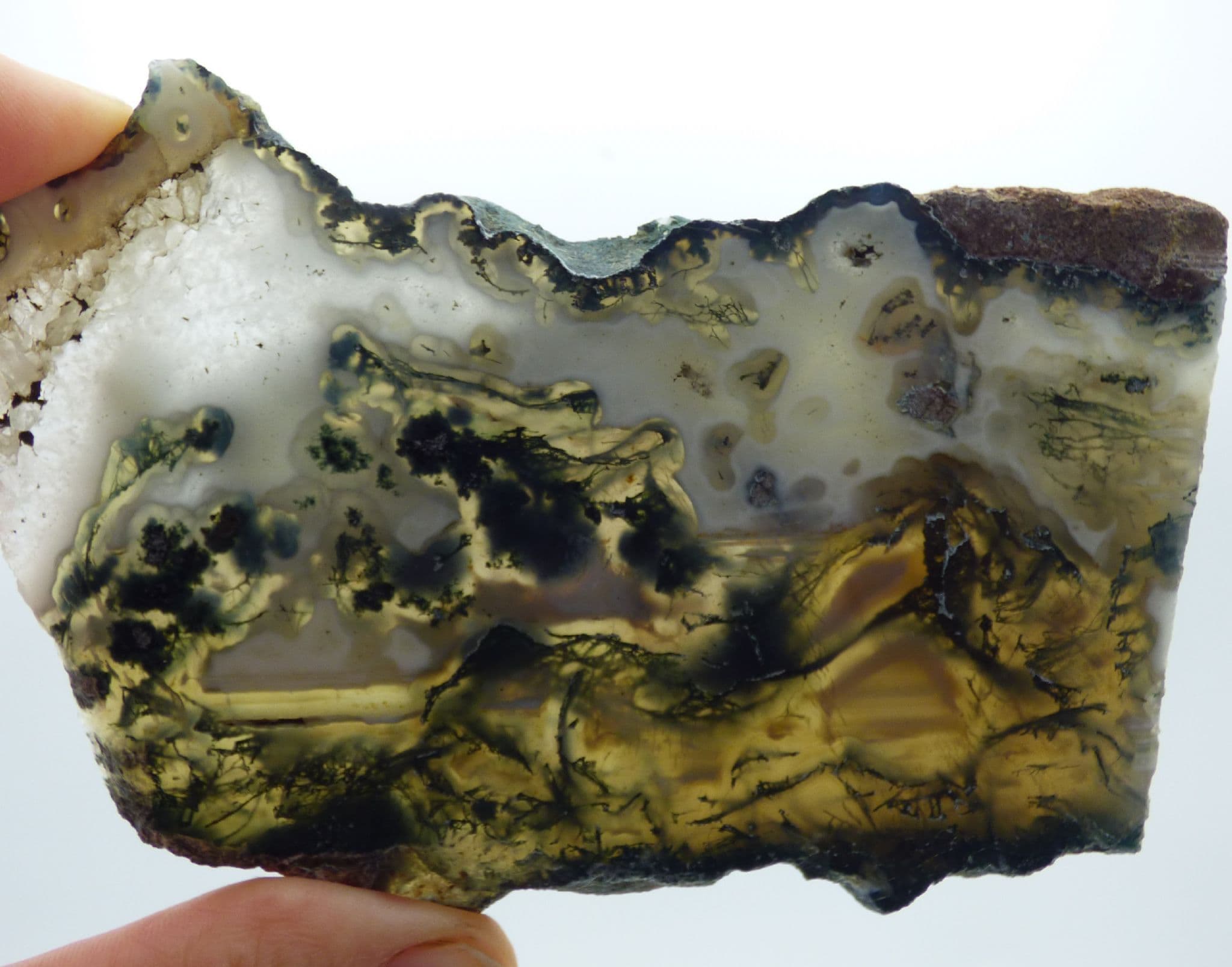 Natural Green Moss Agate Crystal Polished Slice with Display Stand