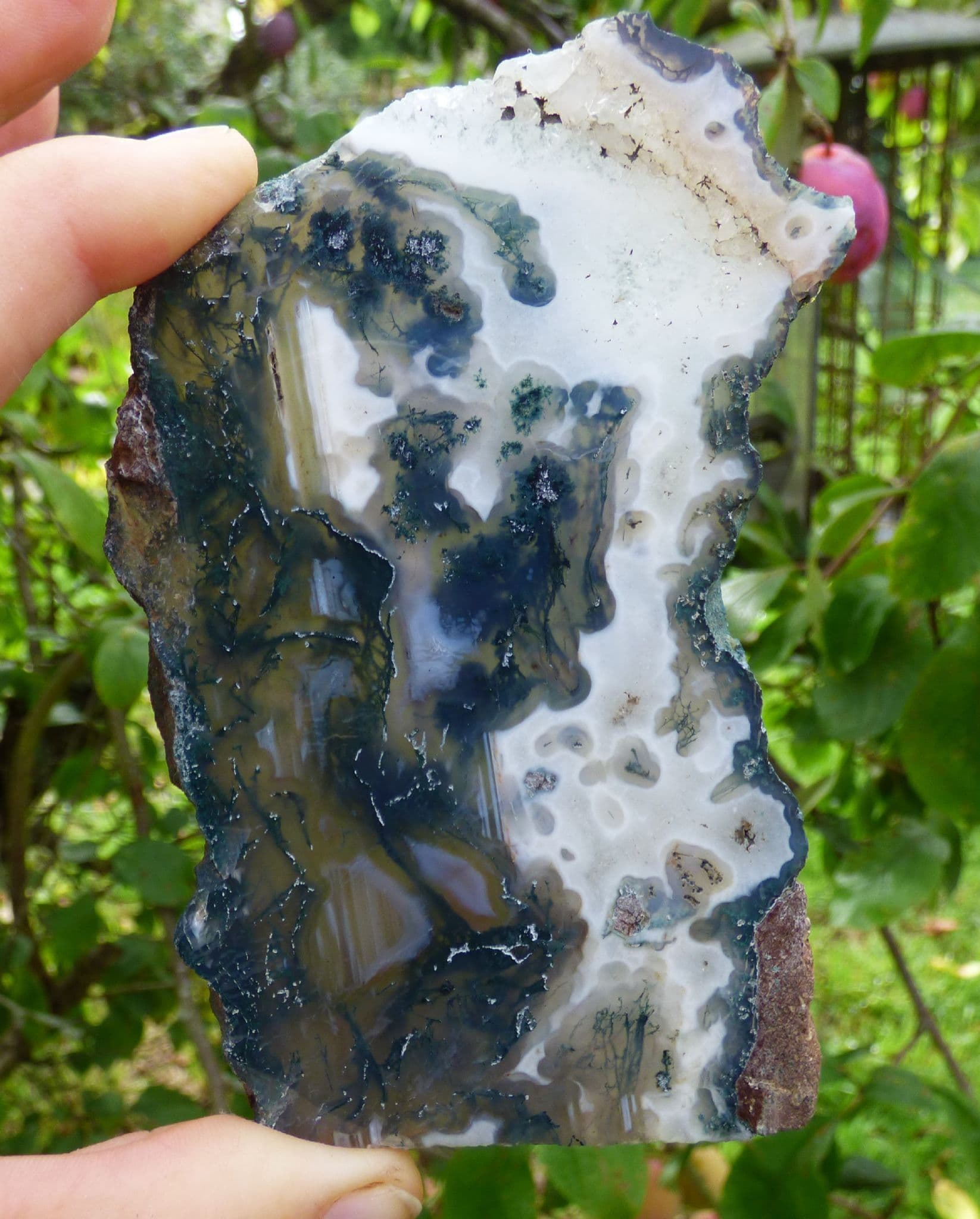 Natural Green Moss Agate Crystal Polished Slice with Display Stand