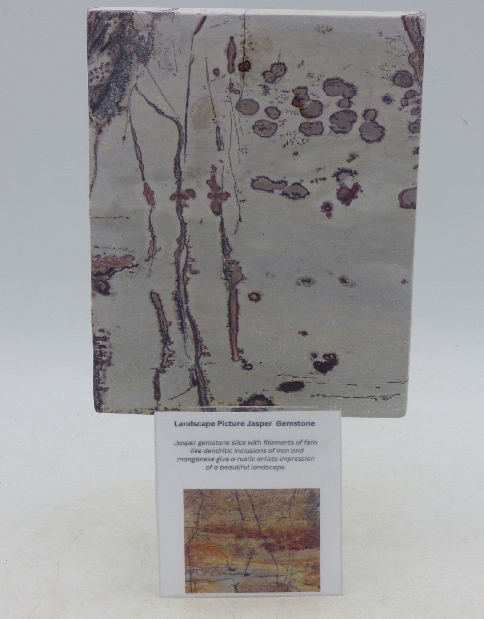 Natural Picture Landscape Jasper Tile   +  Plate Easel Style Stand