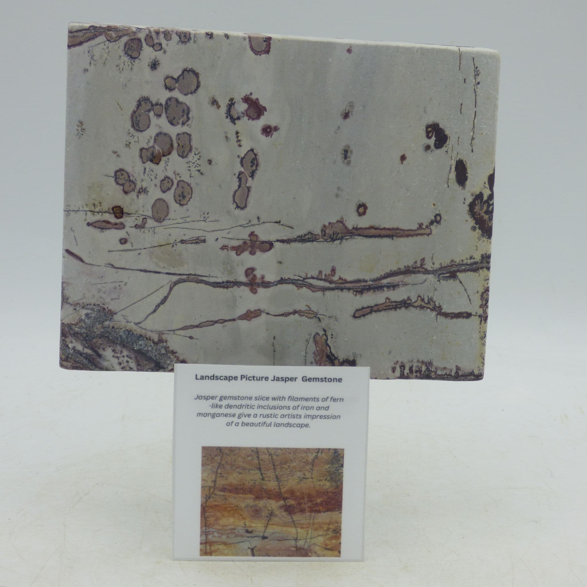 Natural Picture Landscape Jasper Tile   +  Plate Easel Style Stand