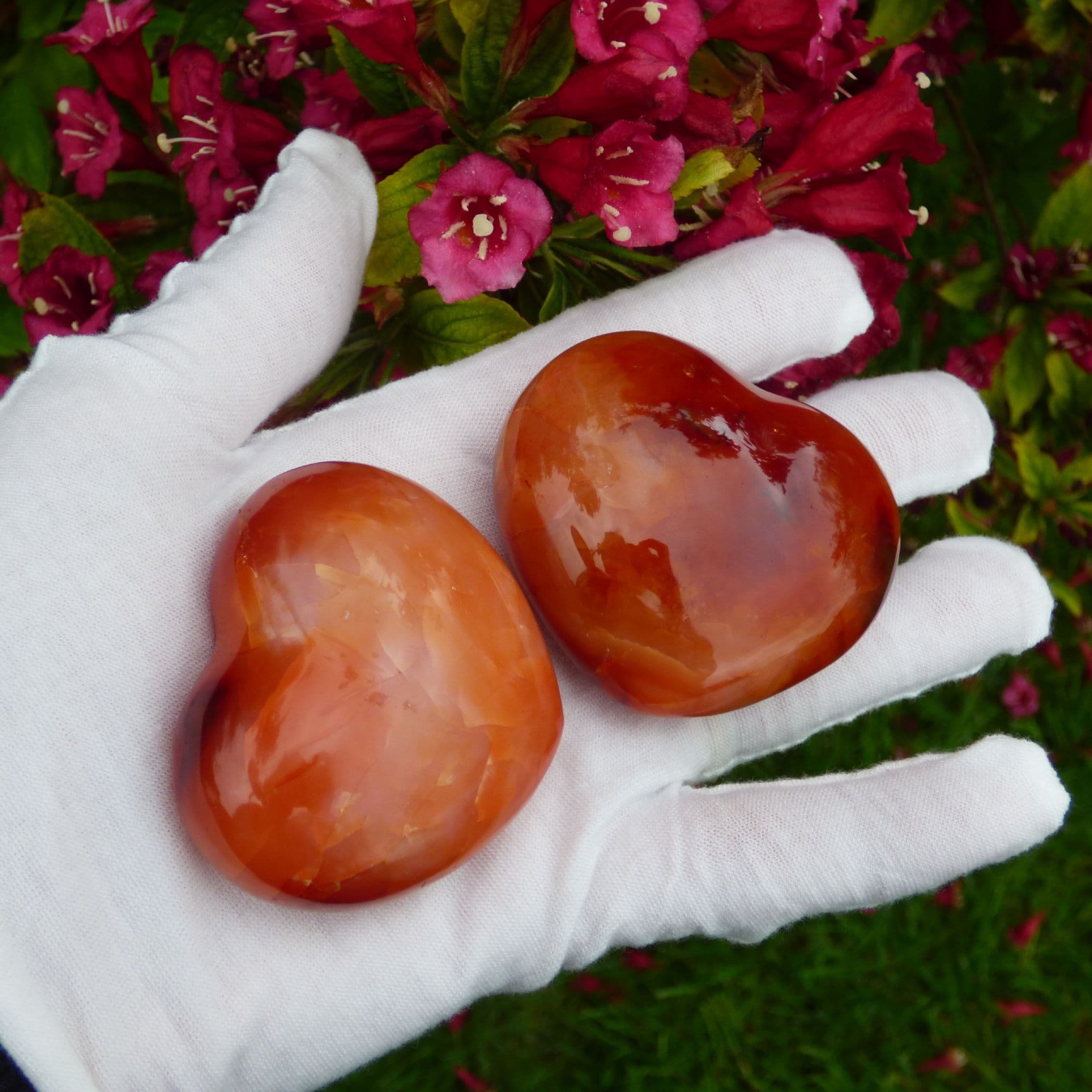 Pair Carnelian Hearts Wedding Twins Anniversary Engagement Gift Idea