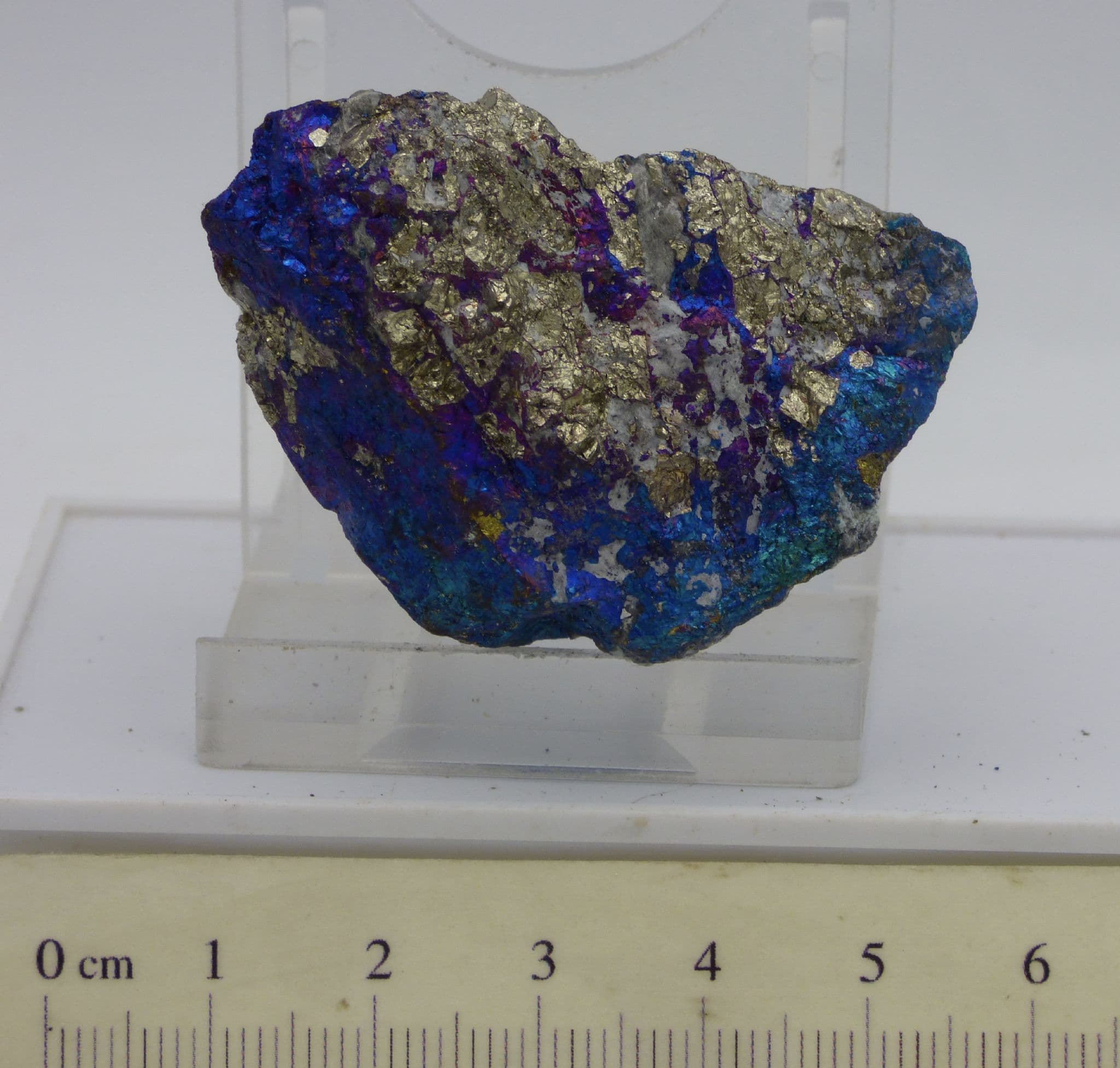 Peacock Ore Chalcopyrite  + Gift  Bag (1)