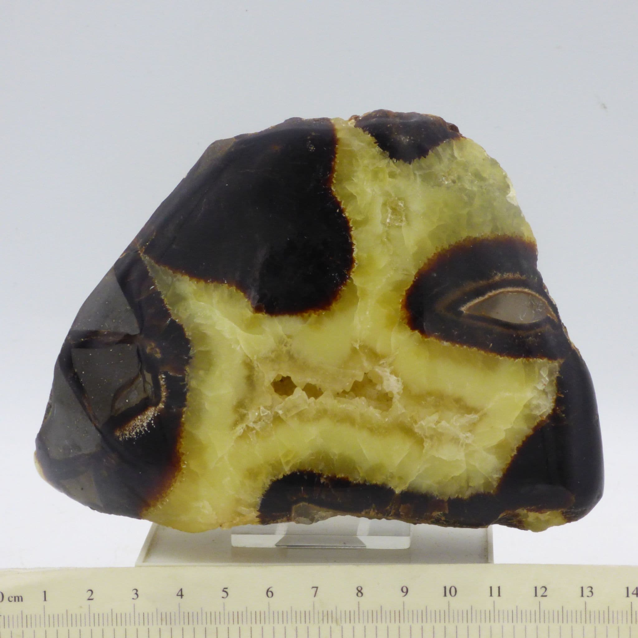 Septarian Nodule Crystal Polished Freeform  from Madagascar with Display Stand