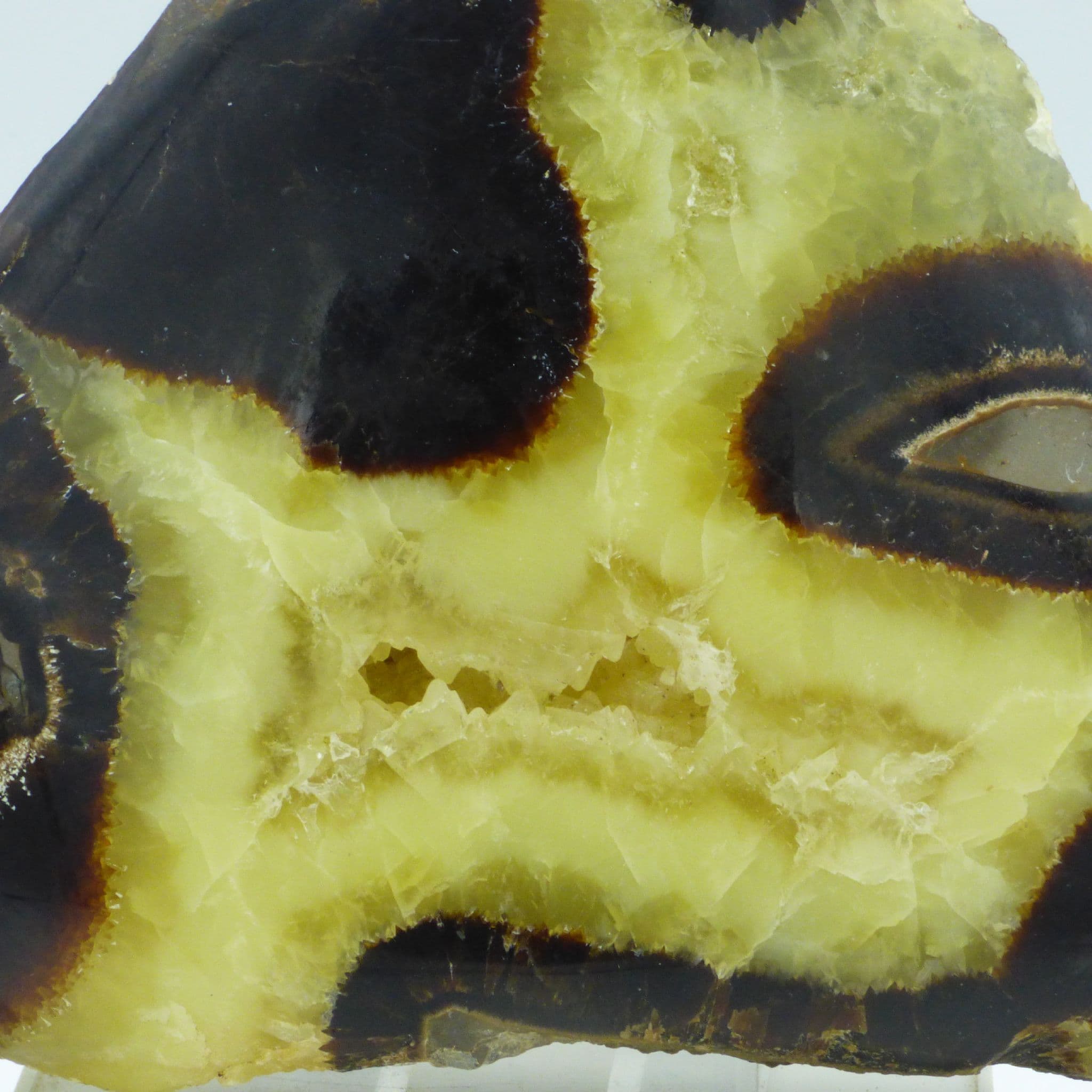 Septarian Nodule Crystal Polished Freeform  from Madagascar with Display Stand