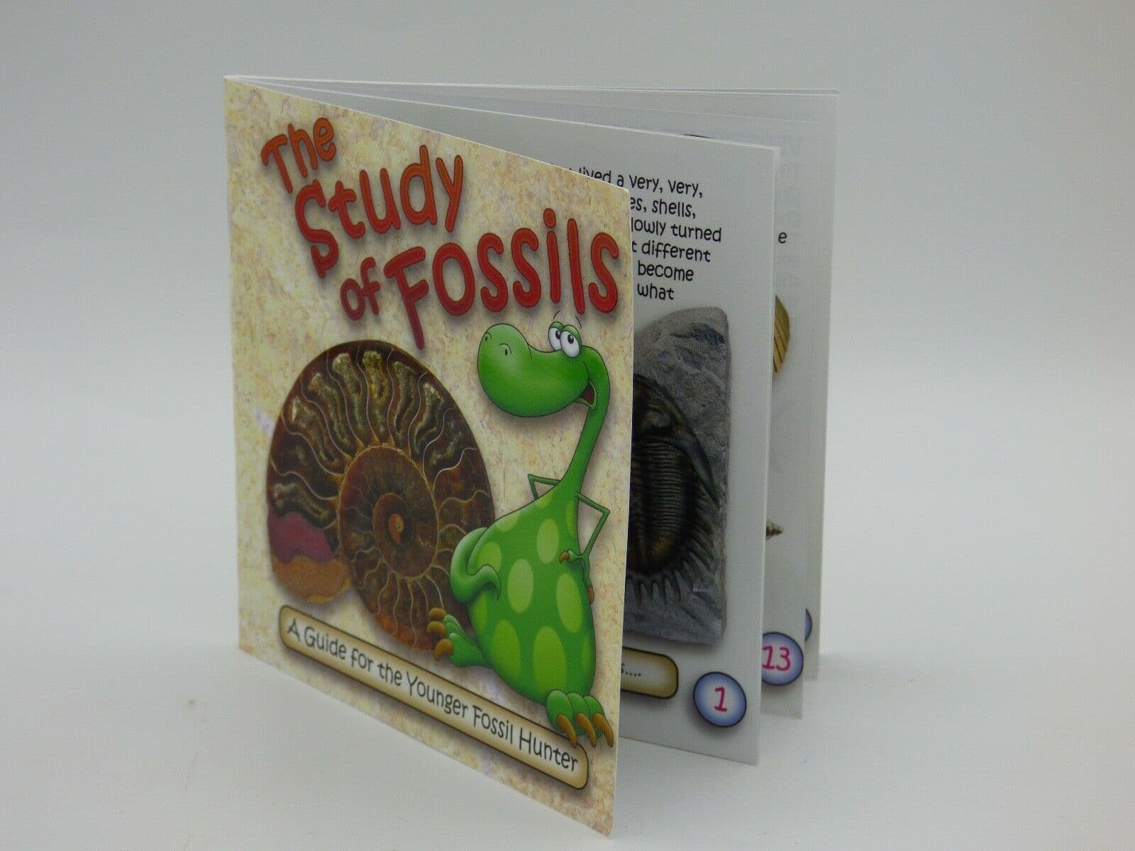 The Study of Fossils A Guide for the Younger Fossil Hunter Booklet